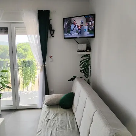 Apartament Jungle Srebrno Jezero